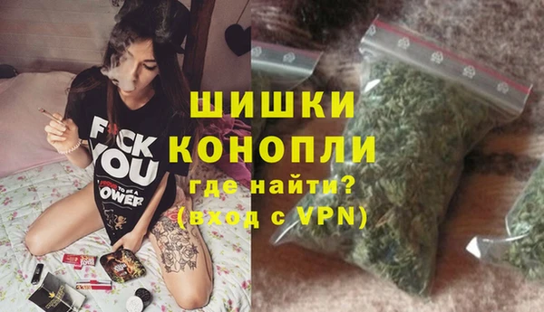 гашик Новозыбков