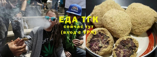гашик Новозыбков