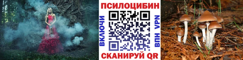 Галлюциногенные грибы ЛСД  цена   Лебедянь 